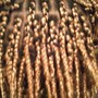 Medium Box Braids