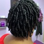 Natural Hair Rod Set (short)