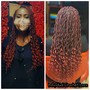 Individual (entire head)Crochet Locs