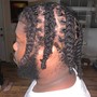 Basic Styles (Locs Above Shoulder)