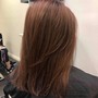 Toner with Blowdry