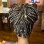 Small Box Braids