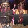 Passion  Twists (Bob Length)