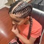 Large Feed in Braids