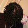 Starter Locs