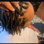 Starter Locs