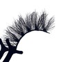 Lash Application