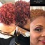 Root Touch Up