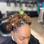 Root Touch Up