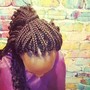 Individual Braids