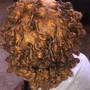 Root Touch Up