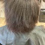 Root Touch Up