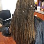 Begin Dreadlocks