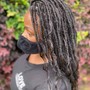 Protective Knotless Single Tree Braids (small full boho)