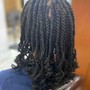 2 Strand Twist exstentions