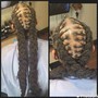 Individual Braids