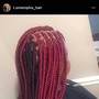 Goddess Box Braids ( Large)