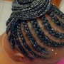 6+ feed-in braids