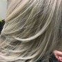 Root Touch Up