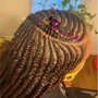 Starter Locs /Comb Twist