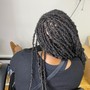 Crochet Faux locs