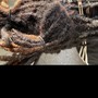 Adult Loc Re-twist