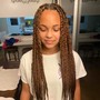 Shoulder length/ mid back faux locs