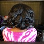 Flexi / Perm rods