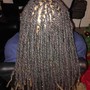 Large Feed in Braids