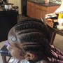 Feed in Braids 2-4