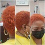 Root Touch Up