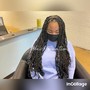 Mini Twists (hair provided) read description