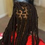 Box Braids over Locs *Consultation Required *