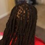 Box Braids over Locs *Consultation Required *