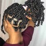 Natural Twists