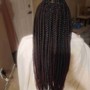 Medium individuals/box Braids