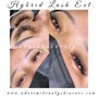 Hybrid Lash Full Set