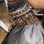 Root Touch Up