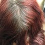 Single process root touchup