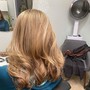 Partial Highlights with color and haircut