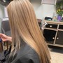 Partial Highlights with color and haircut