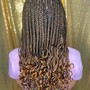 Protective Knotless Single Tree Braids (small full boho)