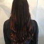 Single Process Color with Blow dry