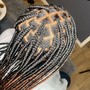 Medium Senegalese Twist