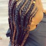 Feedin Braids/ Stitch