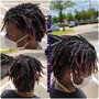 Starter Locs