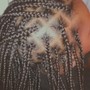 Individual Braids