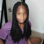 Large Box Braids #1b included