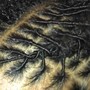 Scalp Treatment for hair growth