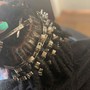 Loc Extensions (Hair included)